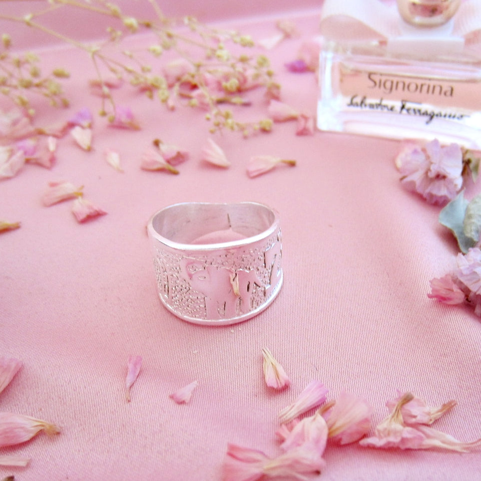 Anillo Plateado de la Suerte