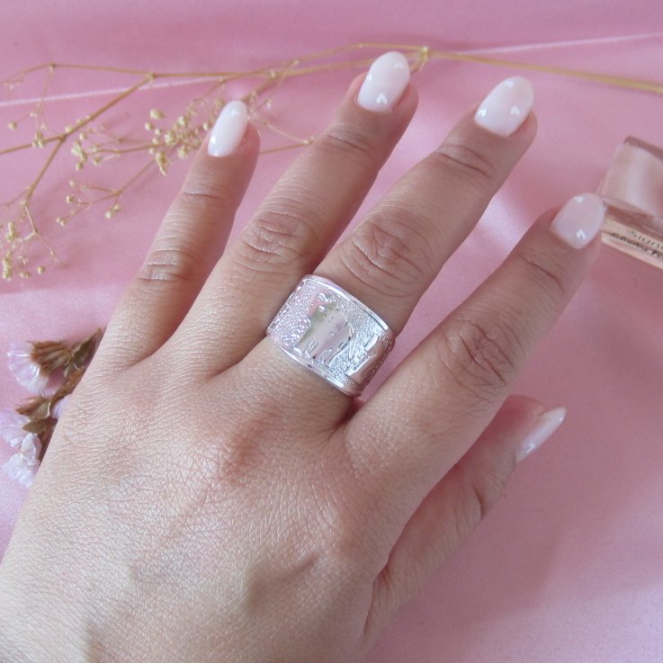 Anillo Plateado de la Suerte