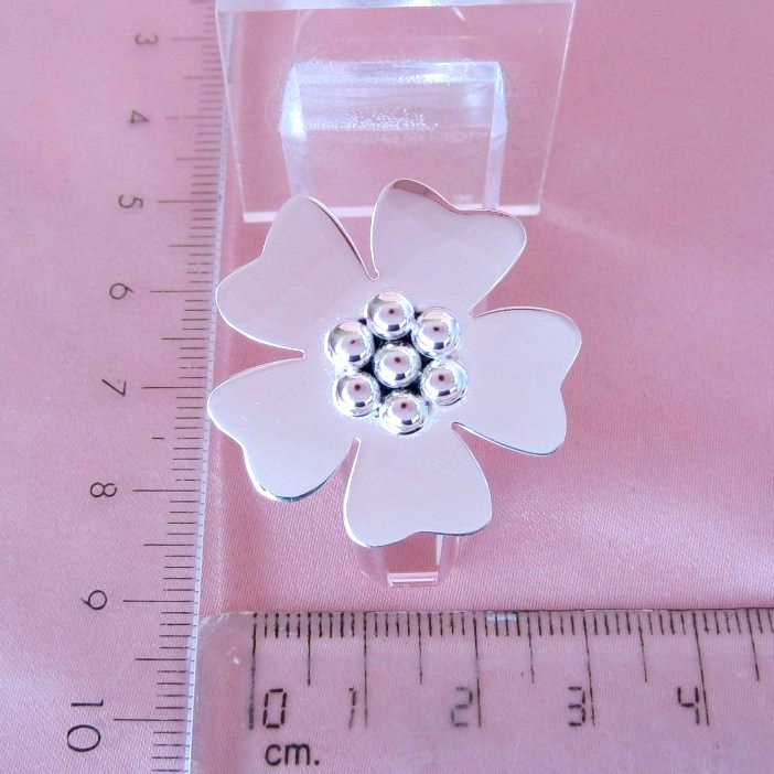 Anillos plateado Verbena